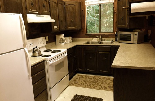 Warnick Cabin | Inviting Cedar Cabin with Hot Tub, Pool Table & Pet Welcome