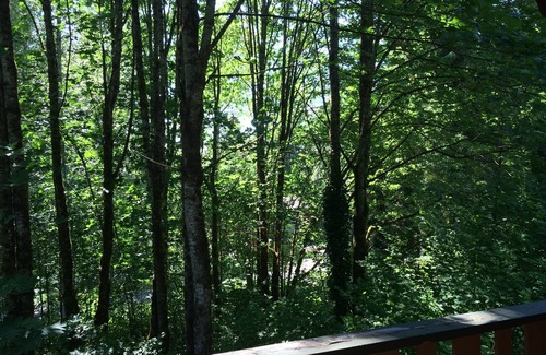 Warnick Cabin | Inviting Cedar Cabin with Hot Tub, Pool Table & Pet Welcome