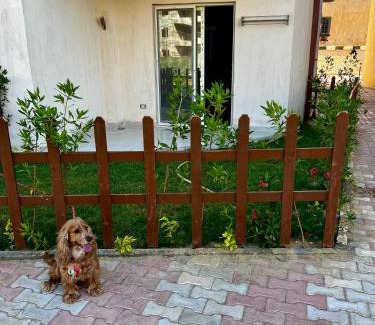 Borg el Arab Ski Chalet | Pet-Friendly Oceanfront Chalet on North Coast Getaway