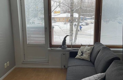 Rovaniemi Apartment | Cozy City Studio by BookLapland