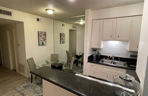 Texas Medical Center Condo | Cozy Condo Near Med Center| NRG Stadium| Rail line