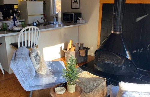 Holland Cottage | Charming Cottage Near Saugatuck with Wood Stove & Kitchen