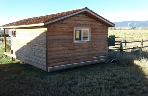 Buffalo Cabin | Picturesque Cottage Near Big Horn Mountains with Horseback Riding