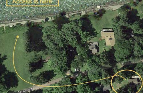Sodus House | Exceptional Cottage Retreat in the Woods, Pet-Friendly