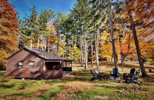 Sodus House | Exceptional Cottage Retreat in the Woods, Pet-Friendly