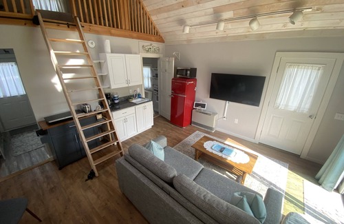 Seal Cove Cottage | Book Your Spring Getaway at Our 10/10 Rated Hotel!
