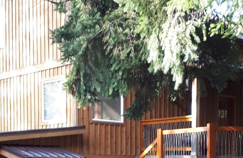 Youbou Cottage | Cozy cottage suite by the lake