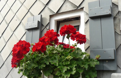 Growendern House | Inviting Cottage with Garden and Pool in Fichtelgebirge