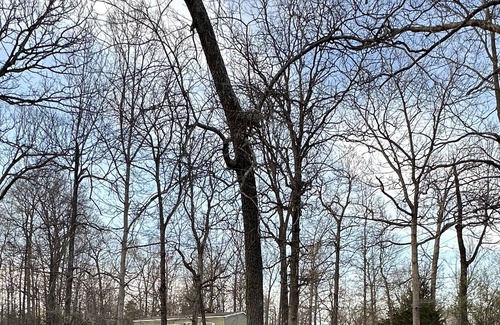 Gilbertsville House | Cozy County Living with private boat ramp to KY lake within walking distance