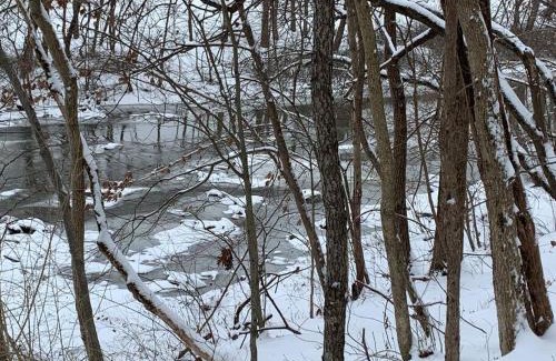 Laurelville House | Inviting Creekside Cabin: Perfect for Families and Pets