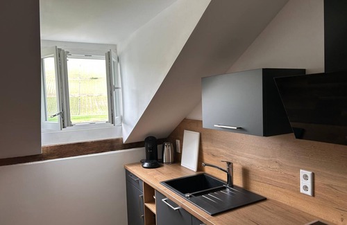 Brauneberg Apartment | Cozy "Dachbalken-Loft" in beautiful villa