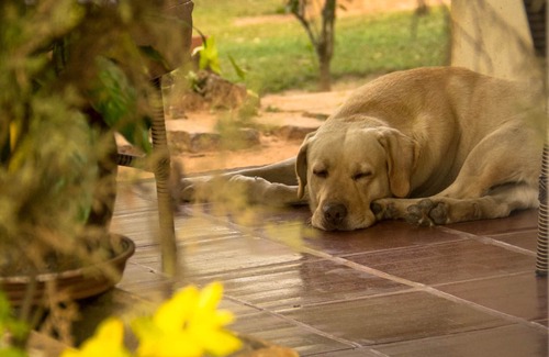 Porto Feliz House | Inviting Escape: Pet-Friendly Stay with Pool & Spa Access