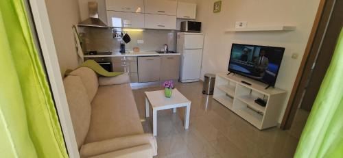 Mandre Apartment | Top-Rated Apartments in Mandre, Croatia with Ocean Views