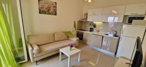 Mandre Apartment | Top-Rated Apartments in Mandre, Croatia with Ocean Views