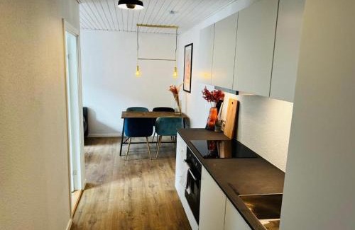 Silkeborg Apartment | Charming Pet-Friendly Flats in Silkeborg - 8.7/10 Rated