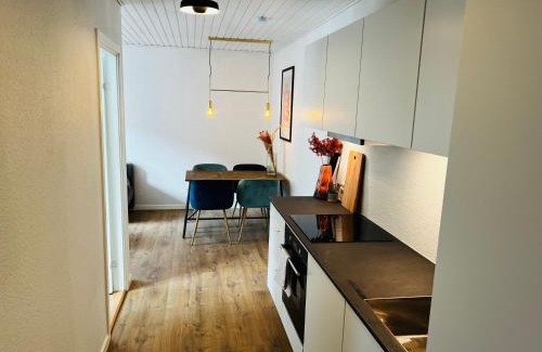 Silkeborg Apartment | Charming Pet-Friendly Flats in Silkeborg - 8.7/10 Rated