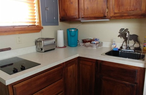 Walden Cabin | Cozy Retreat with Pet-Friendly Amenities in Colorado's Moose Capital