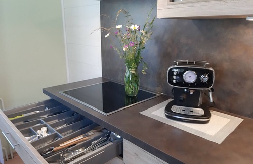 Uehlingen-Birkendorf Apartment | Welcoming Guest Retreat with Spa and Pet-Friendly Options