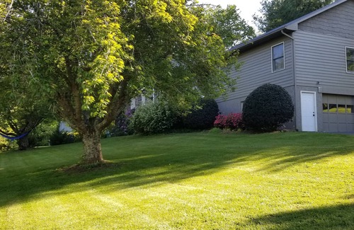Candler Apartment | Private Guest Suite with Kitchen & Perfect 10 Rating