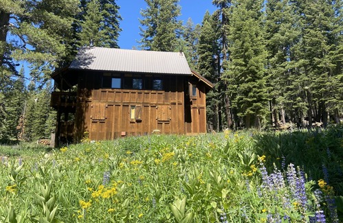 Bear Valley Cabin | Charming Bear Valley Cabin with Spa for Family Fun