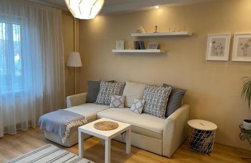 Purvciems Apartment | Comfortable Home Apartment Lielvardes with Free Parking