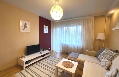 Purvciems Apartment | Comfortable Home Apartment Lielvardes with Free Parking