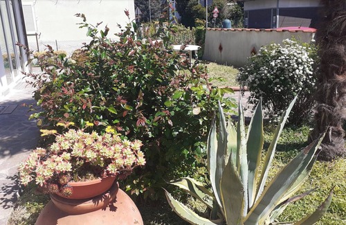 Pisa House | Family-Friendly Getaway in Pisa with Spa and Hot Tub