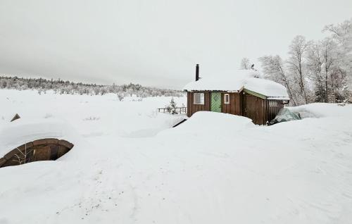 Kamben House | Welcoming Home In Gol With Sauna and Pet-Friendly Amenities