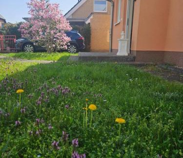 Pankow Apartment | Cozy house and free parking