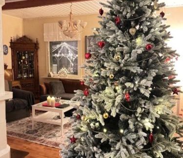 Rovaniemi Villa | Charming Retreat Near the Arctic Circle - Guest Rated 10/10