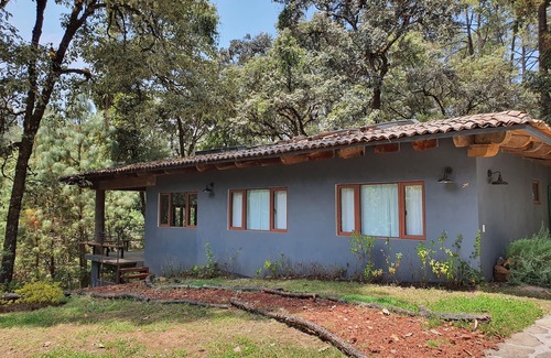 Valle de Bravo House | Charming Woodland Retreat: Pet and Child Friendly Escape
