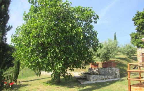 Castelnuovo di Val di Cecina House | Cozy Home In Castelnuovo Val Di Cecina