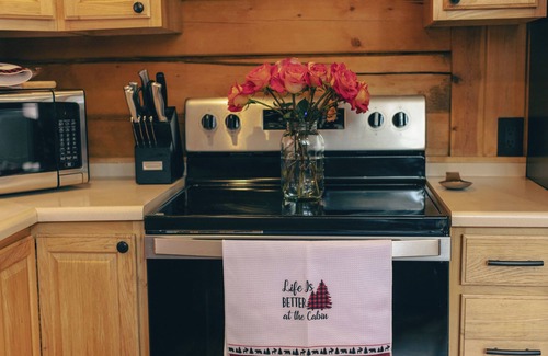 Saint Mary's Cabin | Cozy Log Cabin with Hot Tub and Private Deck Retreat