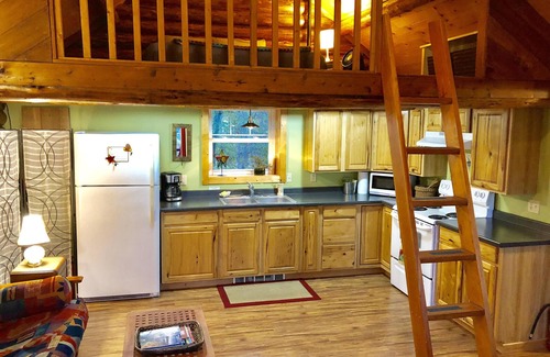 Nelson Cabin | Inviting Log Cabin Retreat Surrounded by Nature's Beauty