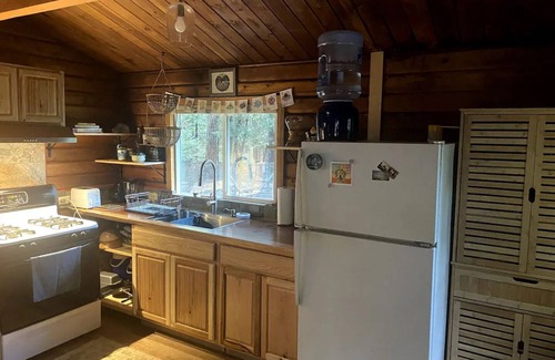Nevada City Cabin | Rustic Log Cabin Retreat in the Woods - Pet Friendly