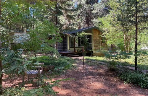 Nevada City Cabin | Rustic Log Cabin Retreat in the Woods - Pet Friendly