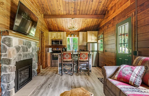 Champion Cabin | Inviting Log Cabin Retreat with Hot Tub & Spa Amenities