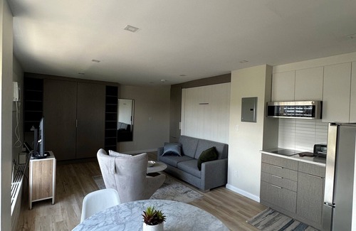 Golden Triangle Apartment | Cozy Modern Centretown Ottawa Studio Near U of O, Restaurants, and Amenities
