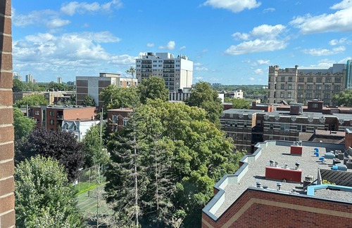 Golden Triangle Apartment | Cozy Modern Centretown Ottawa Studio Near U of O, Restaurants, and Amenities