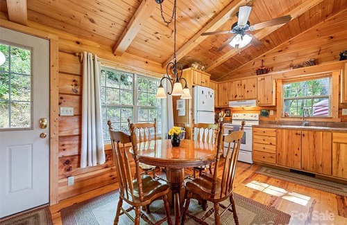 Cranberry Falls Cabin | Cozy Mountain Cabin - Amazing View! Central heat/AC, fireplace, firepit