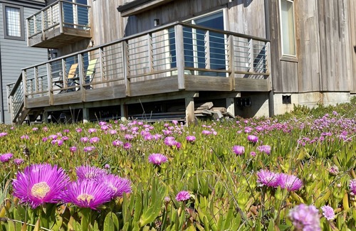 Shelter Cove House | Inviting Oceanfront Retreat Just Steps from the Shore