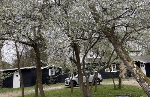 Dronningmolle Cottage | Charming Danish Cottage Steps from Sandy Beach Awaits You