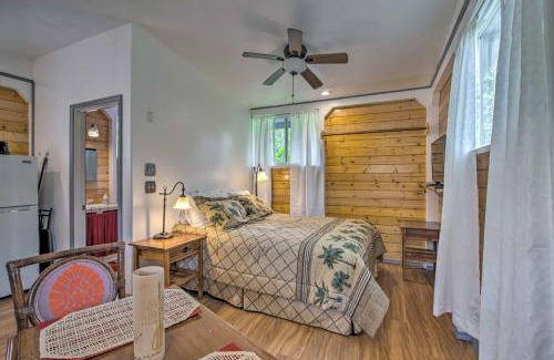 Leilani Estates Apartment | Inviting Pahoa Hideaway Steps from Black-Sand Beaches