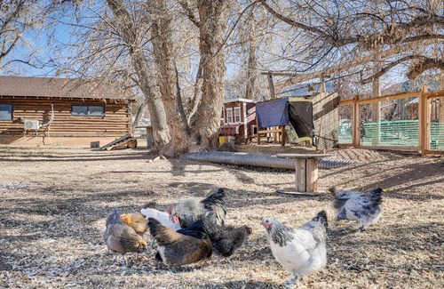 Parowan Apartment | Charming Parowan Studio: Family-Friendly & Near Brian Head