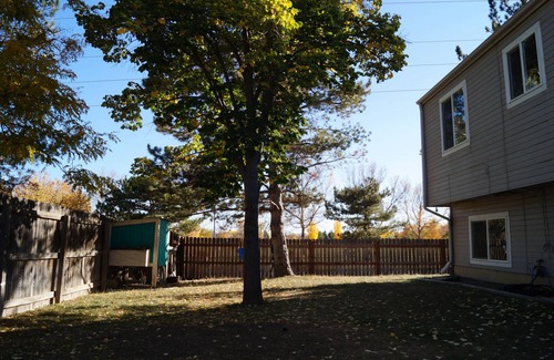 Longmont House | Pet-Friendly Home Near Boulder: Rated 10/10 with Spa Access