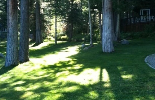 Carnelian Bay Cottage | Serene Lakefront Cottage with Kitchen and Family Amenities