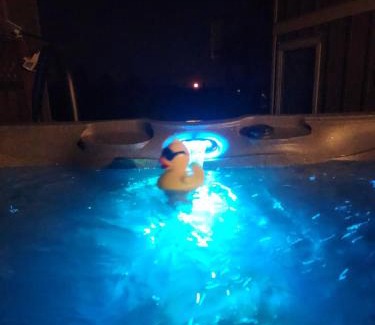 Regional District of Nanaimo Apartment | Cozy Quiet Suite with Private Hot Tub with Ocean Views