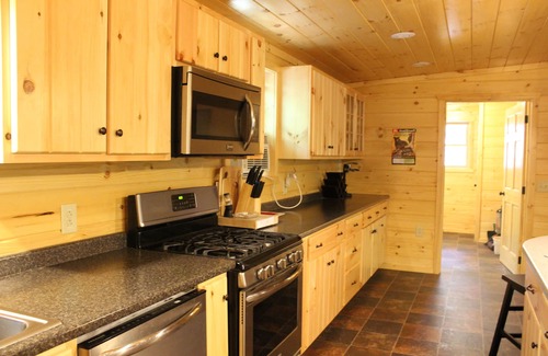 Old Forge Cabin | Sunny Getaway: Pet-Friendly with Ocean Views Await You!