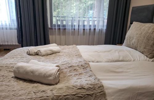 Borovets Apartment | Charming Riverside Pine Studio E5 - 9.7/10 Guest Rated