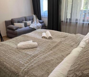 Borovets Apartment | Charming Riverside Pine Studio E5 - 9.7/10 Guest Rated